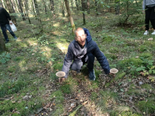 Wycieczka mieszkańców do lasu.