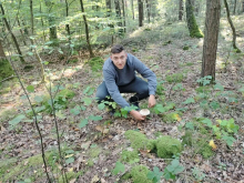 Wycieczka mieszkańców do lasu.